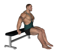 Dip - Bench Bent Knee Wide Grip